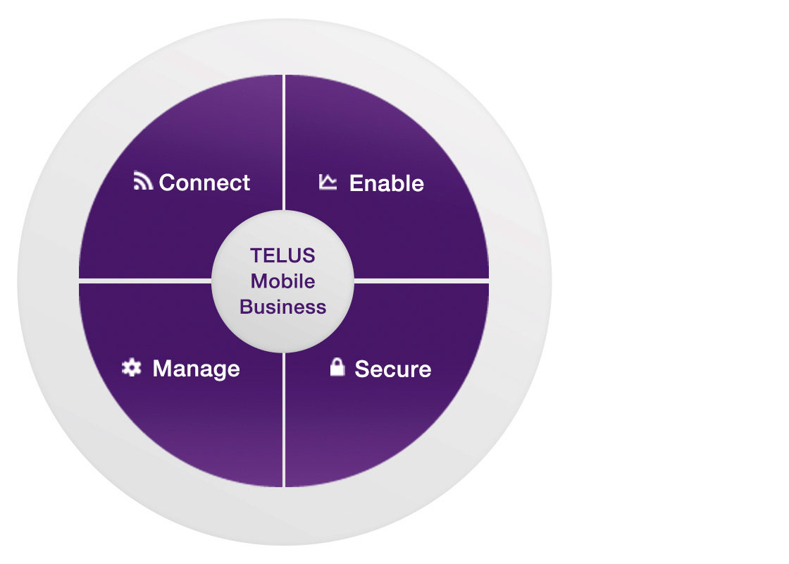 Rogers Business Plans